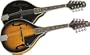 Rogue RM-100A A-Style Mandolin, Black