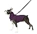Gooby Fleece Vest Hoodie Dog Sweater - Plum, X-Large - Warm Pullover Dog Hoodie with O-Ring Leash for Small to Medium Dogs