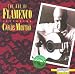 The Art of Flamenco