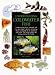 Understanding Coldwater Fish (Pond & Aquatic)
