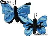 Velvet Morpho Butterfly