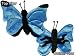 Velvet Morpho Butterfly
