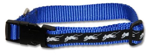 Designer Rat Cat Collar - Black and White Trim on Blue Collar - Medium - Made in USA
