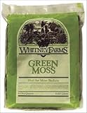 WHITNEY FARMS GREEN MOSS 6 quart