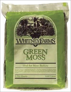 WHITNEY FARMS GREEN MOSS 6 quart