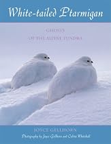 White-Tailed Ptarmigan: Ghosts of the Alpine Tundra