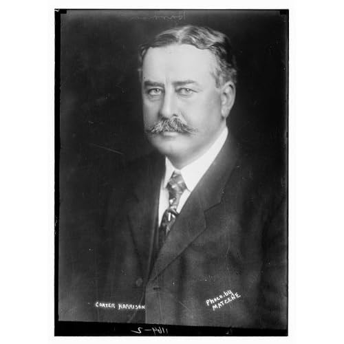 Carter Henry Harrison