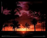 John Wagner Tropical Sunset Gold Wood-Mounted Art Poster Print - 20