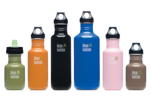 Klean Kanteen Stainless Steel Colored Water Bottles with Poly Loop Cap