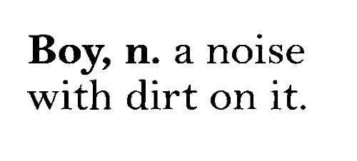 BOY, N. A NOISE WITH DIRT ON IT Vinyl wall quotes kids room sayings home art ...