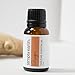 Simply Earth Ginger Essential Oil by (Ginger Root) - 15 ml, 100% Pure Therapeutic Grade