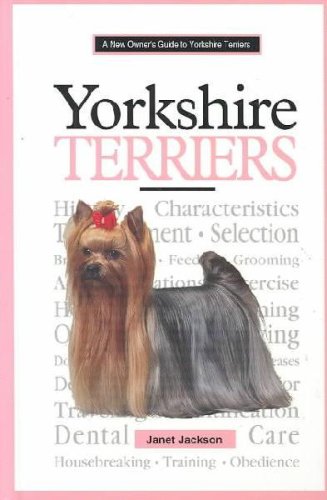 A New Owner's Guide to Yorkshire Terriers
