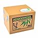 Lovely Baby Kids Gift Panda Stealing Coins Money Bank Box