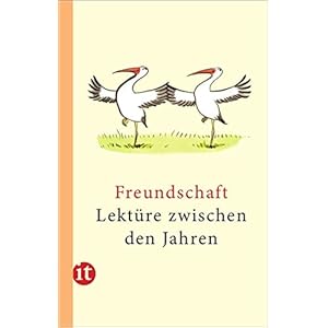 Lektüre zwischen den Jahren 2013: Freundschaft (insel taschenbuch)