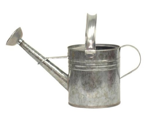 Houston International 8560 3/4-Gallon Steel Watering Can, Silver