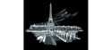 Engraving Art Famous-Eiffel To