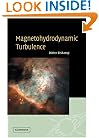 Magnetohydrodynamic Turbulence