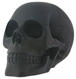 Black Skull Head Collectible Skeleton Decoration Figurine Statue Model