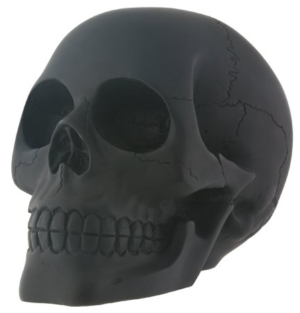 Black Skull Head Collectible Skeleton Decoration Figurine Statue Model