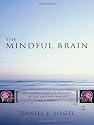 The Mindful Brain in Human Development: Reflection and Attunement in the Cultivation of Well-being