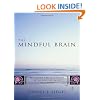 The Mindful Brain in Human Development: Reflection and Attunement in the Cultivation of Well-being