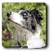 Lee Hiller Photography Pets - Dogs Blue-Merle Border Collie - Mouse Pads