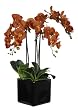 Artificial Triple-stem Phalaenopsis Orchid Arrangement Paprika Orange