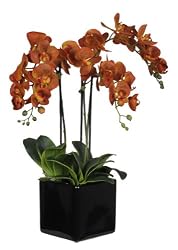 Artificial Triple-stem Phalaenopsis Orchid Arrangement Paprika Orange
