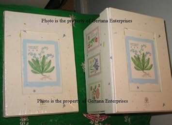 Judith Glover Photo Storage Box