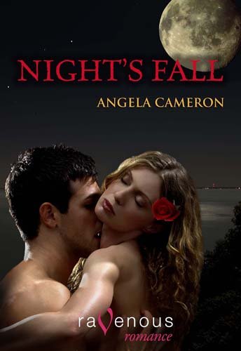 Night's Fall Book Image