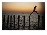 Bo Hoppin Leaps Between Pilings in the Chesapeake Bay off Great Fox Island, Virginia Photographic Poster Print by Robert Madden, 24x18