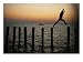 Bo Hoppin Leaps Between Pilings in the Chesapeake Bay off Great Fox Island, Virginia Photographic Poster Print by Robert Madden, 16x12