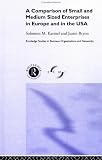 Comparison of Small and Medium Sized Enterprises in Europe and in the USA (Routledge Studies in Business Organizations and Networks)