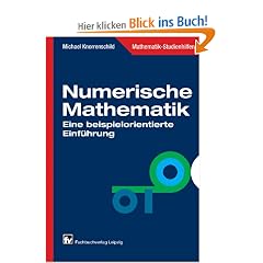 Numerische Mathematik: Eine beispielorientierte Einf�hrung