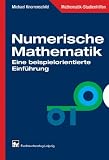 Numerische Mathematik: Eine beispielorientierte Einf&uuml;hrung - Michael Knorrenschild