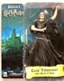 Harry Potter vs. Voldemort Action Figure Boxed Set by N