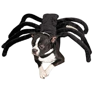 Zack & Zoey Grr-antula Costume, X-Large