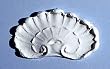 Miniature Shell Applique