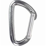 Quicksilver 2 Carabiner - Straight Gate - Seconds by Black Diamond