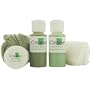 ICLEANER Ultra Pro Kit for iPod or iBook