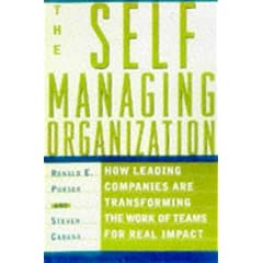 The Self-managing Organization: Transforming Team Work Through Participative Design