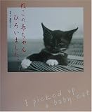 ねこの赤ちゃんひろいました。