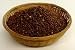 Organic Sprouting Seeds Daikon Radish