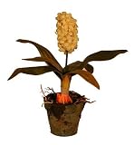 Large Hyacinth - Cream - Artificial Plant