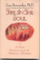 Fire in the Soul: A New Psychology of Spiritual optimism