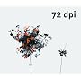 72 DPI (72dpi)