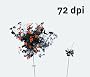 72 DPI
