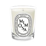 Diptyque Mimosa Candle Candle
