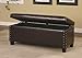 Coaster Classic Storage Bench, Nailhead Trim Design, Brown Vinyl
