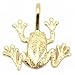 41QVdKRxXcL. SL75  Frog Charm DiamondCut 14k Gold 14mm
